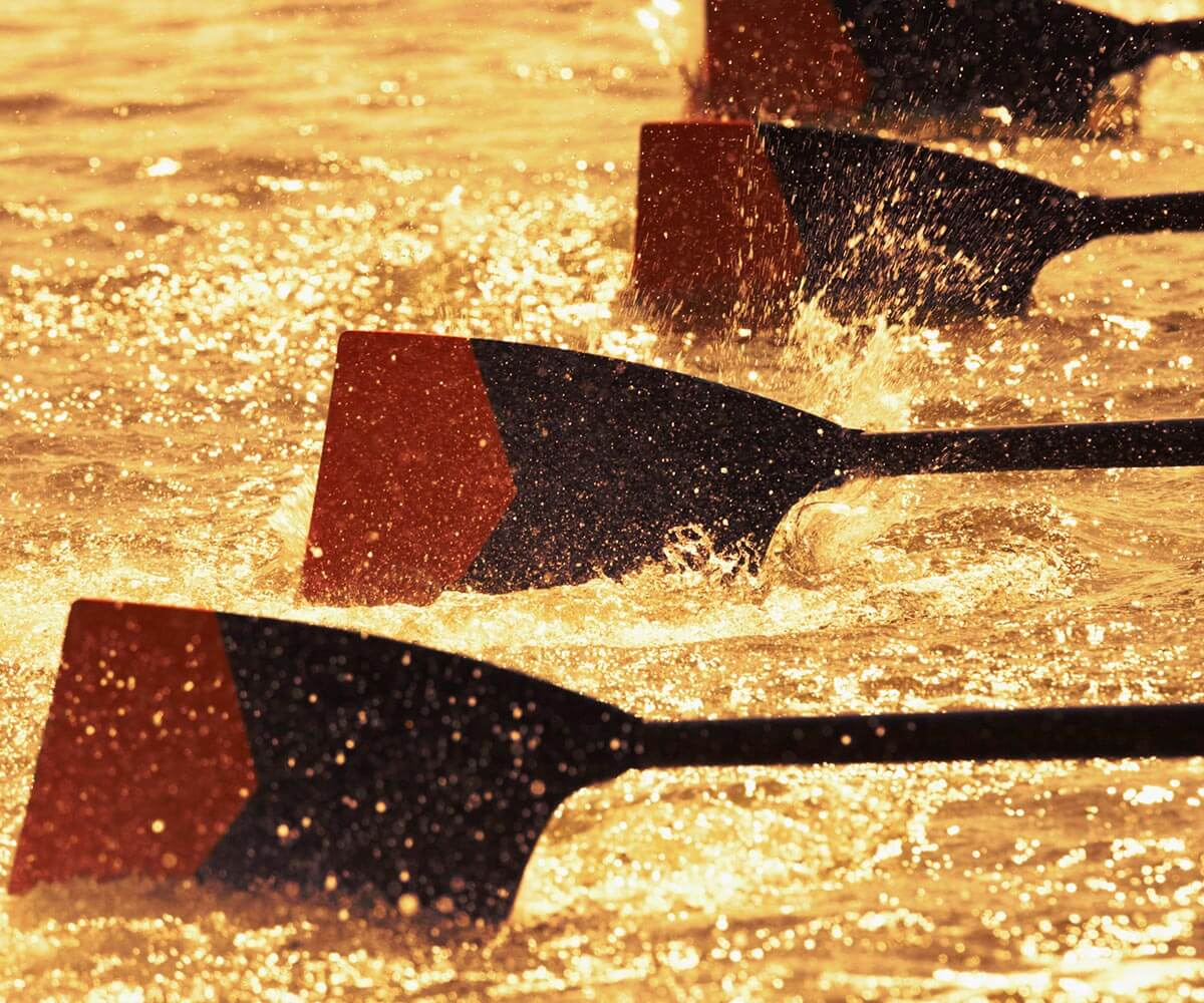 Close up image of 4 rowing boat oars
